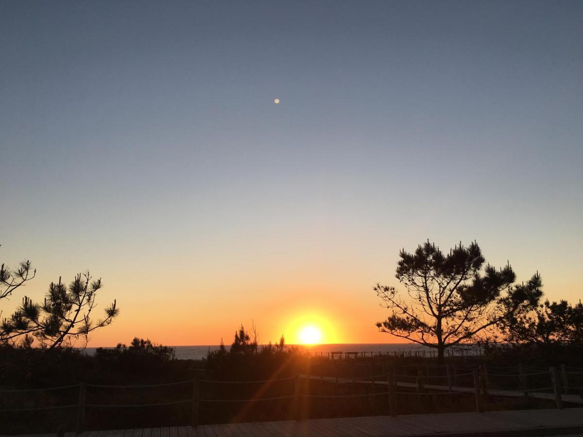 Apartament Bela Vista Viana do Castelo Zewnętrze zdjęcie